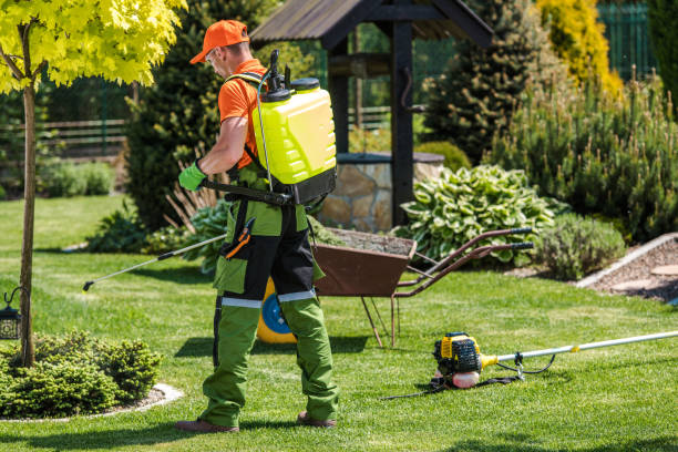 Best Lawn Pest Control  in Anna, OH